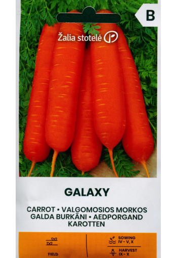 Carrot "Galaxy"