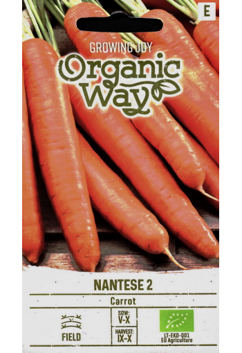 Carrot "Nantes 2"