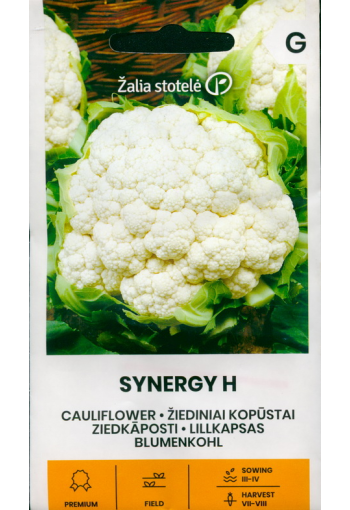 Cauliflower "Synergy" F1