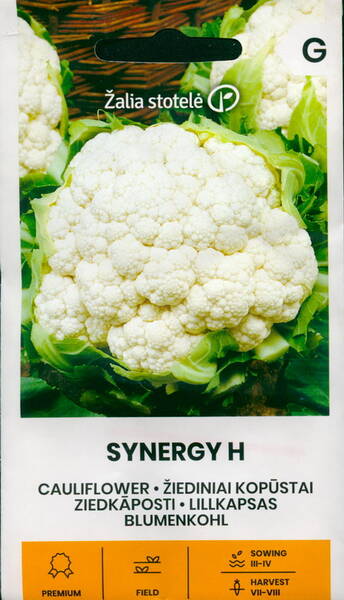 Cauliflower "Synergy" F1