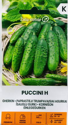 Gurka "Puccini" F1