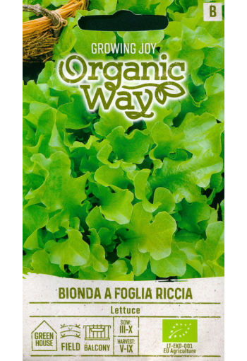 Салат листовой "Bionda a foglia Riccia" (eco)