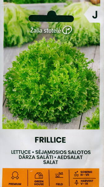 Iceberg lettuce "Frillice"