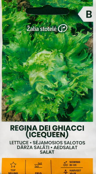 Peasalat "Regina dei Ghiacci" (Icequeen)