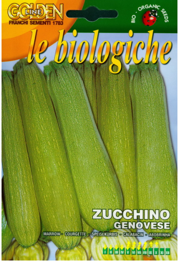 Zucchini marrow "Genovese"