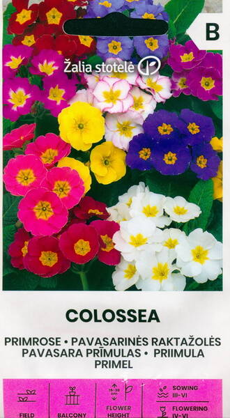 Priimula kõrge "Colossea" (mix)