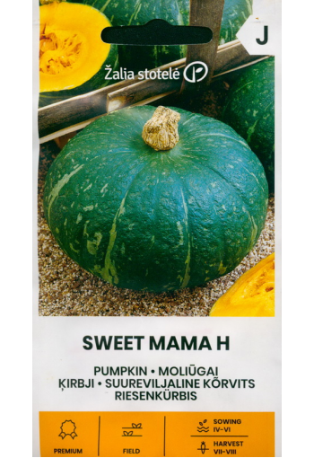 Pumpkin "Sweet Mama" F1