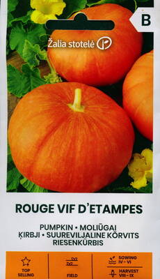 Pumpkin "Rouge vif D Etampes"