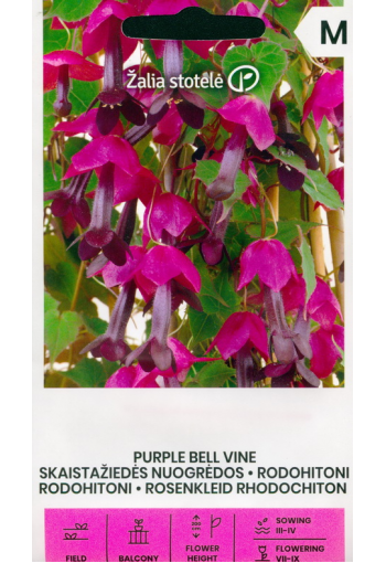 Purpurvanik tume "Purple bells"