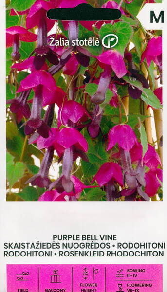 Purpurvanik tume "Purple bells"