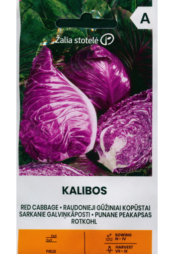 Red Cabbage "Kalibos"