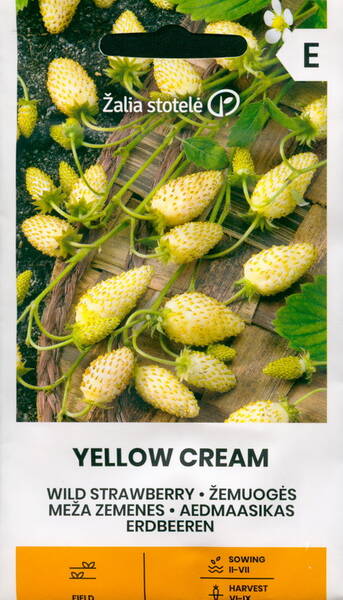 Jordgubbe "Yellow Cream"