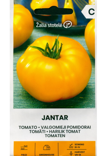 Tomato "Jantar"