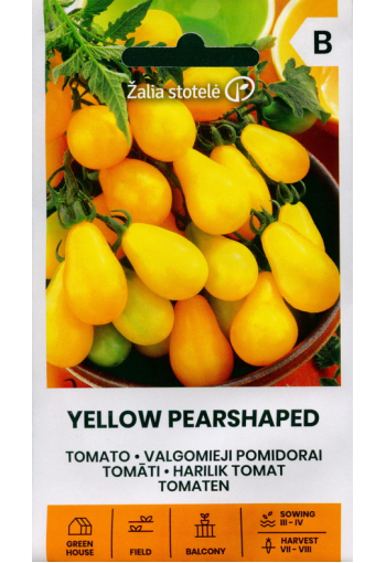 Tomaatti "Yellow Pearshaped" (Päärynätomaatti)