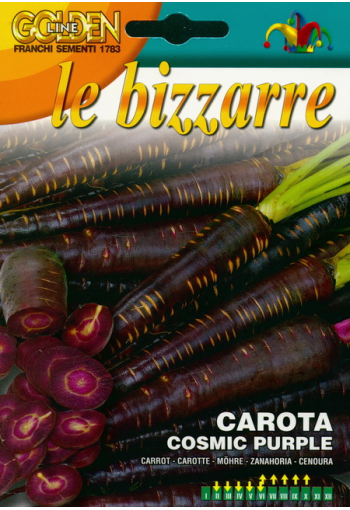 Carrot "Cosmic Purple"