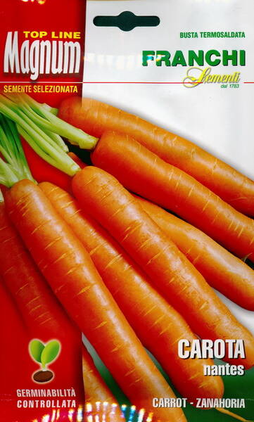 Carrot "Nantes 2" (18 g)