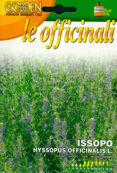 Hyssop