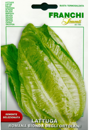 Roman lettuce "Romana Bionda Degli Ortolani" (Cos lettuce)