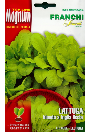 Lettuce "Bionda a foglia liscia" (24 g)
