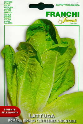 Cos lettuce "Bionda Lentissima a Montare" (romaine lettuce)