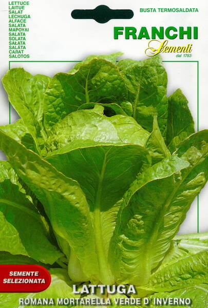 Kos-salat "Romana Mortarella verde d Inverno" (Rooma salat)