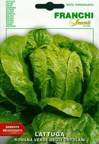 Roman lettuce "Verde degli Ortolani"