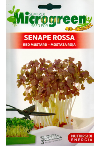 Red mustard (microgreens)