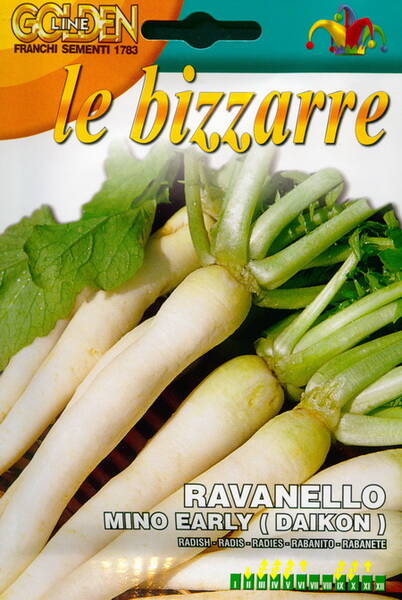 Daikon "Mino Early" (oriental radish)