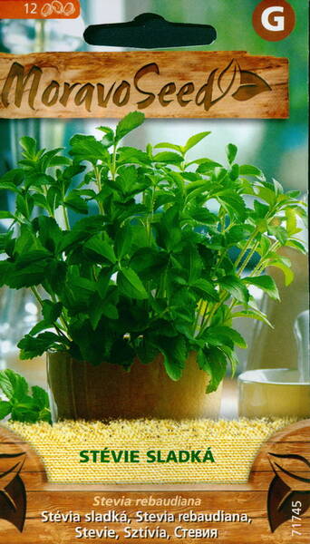 Sockerplanta (sötflockel)