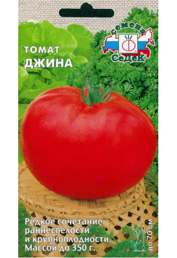 Tomato "Jina"