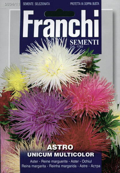 Aster "Unicum" (multicolor)