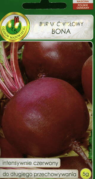 Beetroot "Bona"