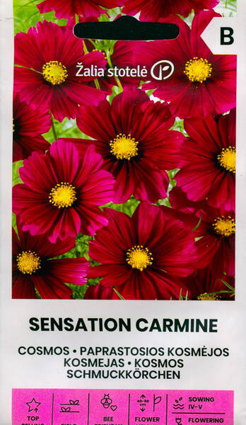 Punakosmos "Sensation Carmine"