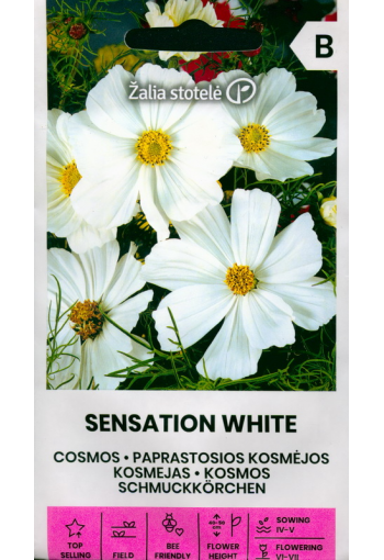 Kosmos "Sensation White"