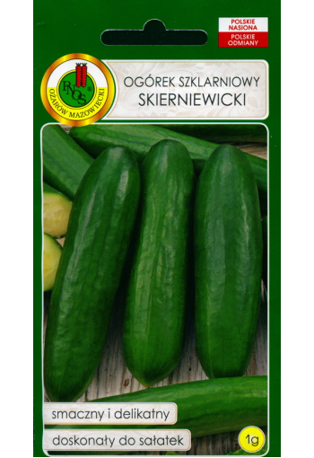 Salad cucumber "Skierniewicki"