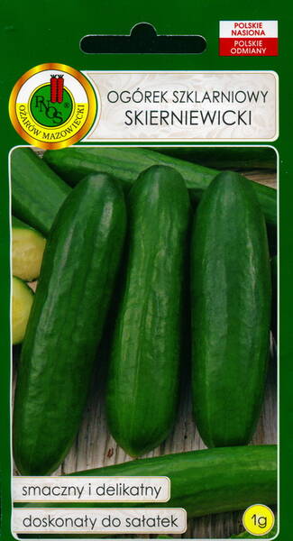 Salad cucumber "Skierniewicki"