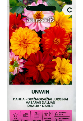 Dahlia "Unwin" (mix)