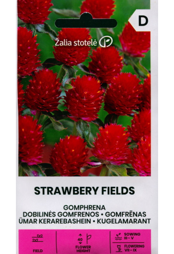 Globe amaranth "Strawberry field"