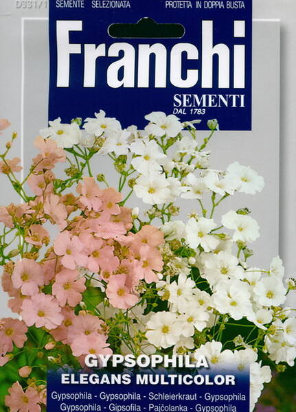 Gypsophila elegans 'Multicolor' (Mix)