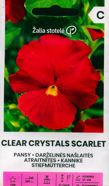 Pansy "Clear Crystals Scarlet"