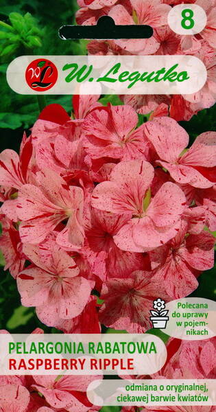 Viirpelargoon "Divas Raspberry Ripple" F1