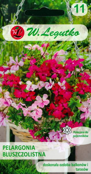 Пеларгония плющелистная "Speedy" F2 (ампельная герань) Пеларгония плющелистная "Speedy" F2 (ампельная герань)