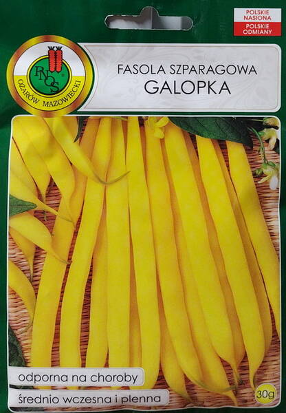 Aeduba põõsas "Galopka"