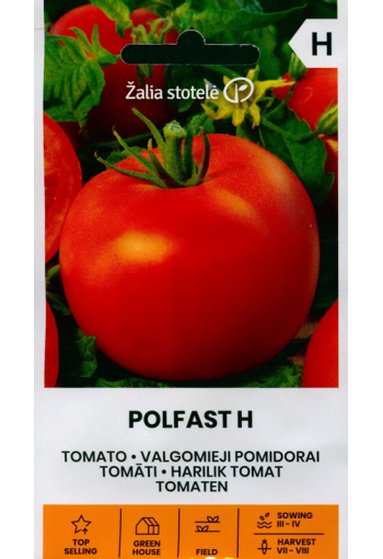 Tomato "Polfast" F1