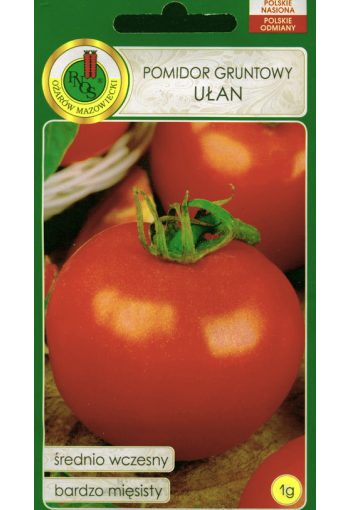 Tomaatti "Ulan"