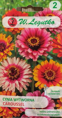 Elegant zinnia "Caroussel"