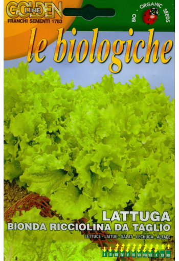 Lettuce "Bionda Ricciolina da Taglio"