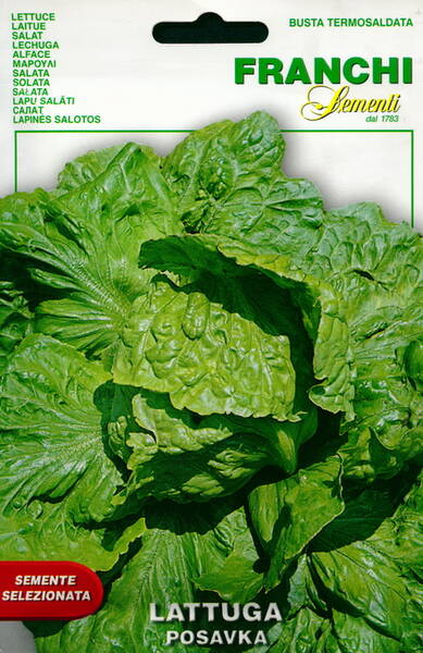 Lettuce-head "Posavka"