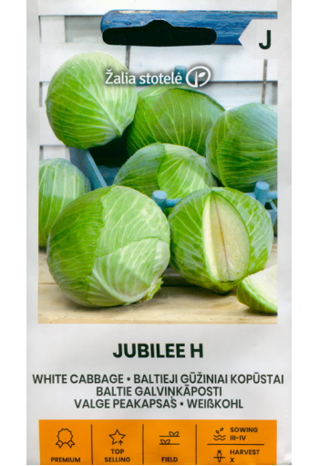 White Cabbage "Jubilee"