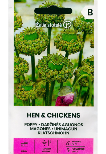 Oopiumiunikko "Hen & Chickens" (oopiumunikko)